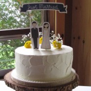 Muskoka rustic wedding cake