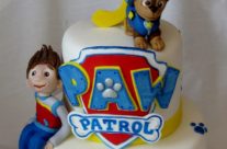 Paw Patrol cake in Muskoka