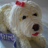 Dog Birthday cake