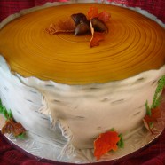 birch bark cake