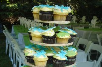 Dragonfly cupcakes