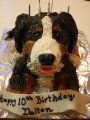 image daltons-10th-birthday-cake-jpg