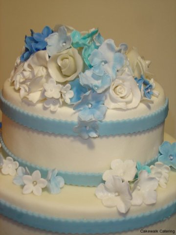 image blue-flowers-closeup-jpg